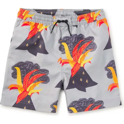Tea Collection Kids'  Mid-length Swim Trunks In Gray
