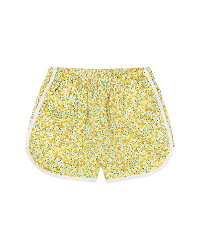 Tea Collection Woven Dolphin Short In Multi