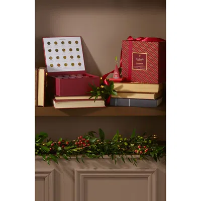 Tea Forte Tea Forté 40-piece Warming Joy Tea Chest In Red
