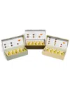 Tea Forte Tea Lovers Triple Play Tea Set, 10 Piece In No Color