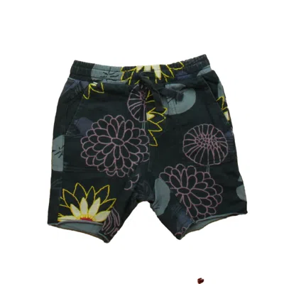Pre-owned Tea Kids' Girls Navy Purple Floral Shorts In Multi