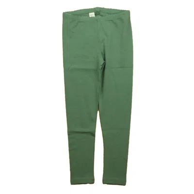 Tea Kids' L Leggings In Green