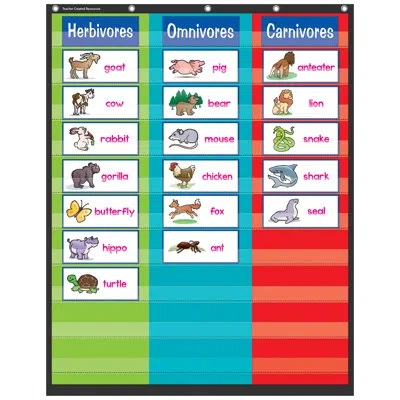 Teacher Created Resources 3 Column Pocket Chart In Multi