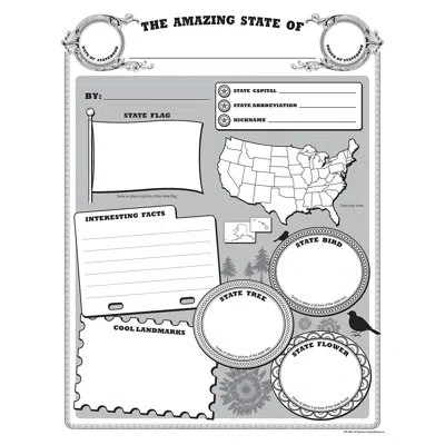Teacher Created Resources Amazing State Poster Set In White;gray