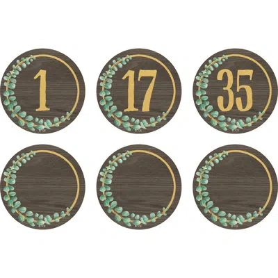 Teacher Created Resources Eucalyptus Numbers Magnetic Accents In Black;green;orange