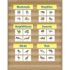 Teacher Created Resources Pocket Chart