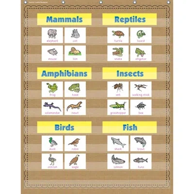 Teacher Created Resources Pocket Chart