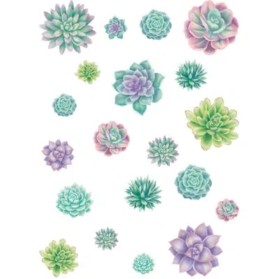 Teacher Created Resources Succulents Accents In Blue;pink;purple