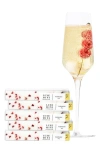 Teaspressa Holiday Stocking Stuffer Raspberry Mixology Cubes Gift Set In Multi