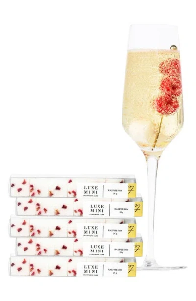 Teaspressa Holiday Stocking Stuffer Raspberry Mixology Cubes Gift Set In Multi
