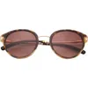 Ted Baker 50mm Gradient Round Sunglasses In Brown
