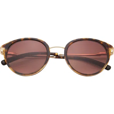 Ted Baker 50mm Gradient Round Sunglasses In Brown