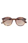 Ted Baker 51mm Polarized Round Sunglasses In Brown