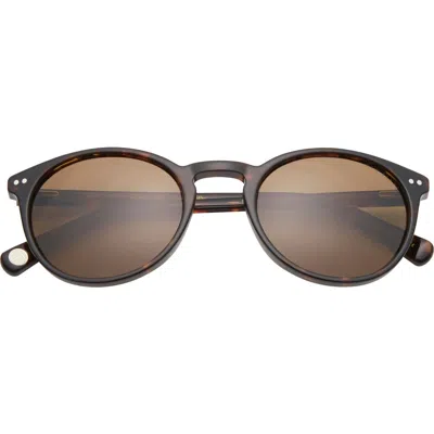Ted Baker 51mm Polarized Round Sunglasses In Brown