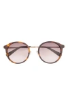 Ted Baker 51mm Round Sunglasses In Brown