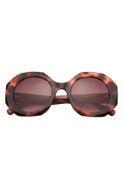 Ted Baker 51mm Round Sunglasses In Tortoise