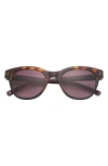 Ted Baker 52mm Cat Eye Sunglasses In Tortoise