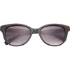 Ted Baker 54mm Cat Eye Sunglasses In Black