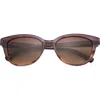 Ted Baker 54mm Cat Eye Sunglasses In Purple