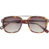 Ted Baker 54mm Polarized Square Sunglasses In Brown