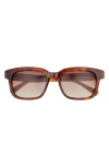 Ted Baker 54mm Polarized Square Sunglasses In Brown