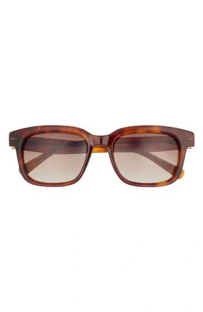 Ted Baker 54mm Polarized Square Sunglasses In Brown