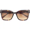 Ted Baker 55mm Cat Eye Sunglasses In Brown