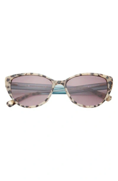 Ted Baker 55mm Cat Eye Sunglasses In Neutral