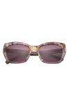 Ted Baker 55mm Cat Eye Sunglasses In Brown