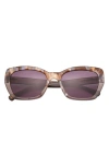 Ted Baker 55mm Cat Eye Sunglasses In Lilac