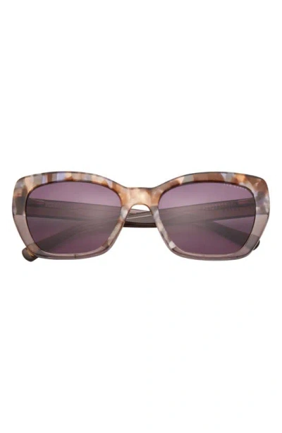 Ted Baker 55mm Cat Eye Sunglasses In Brown