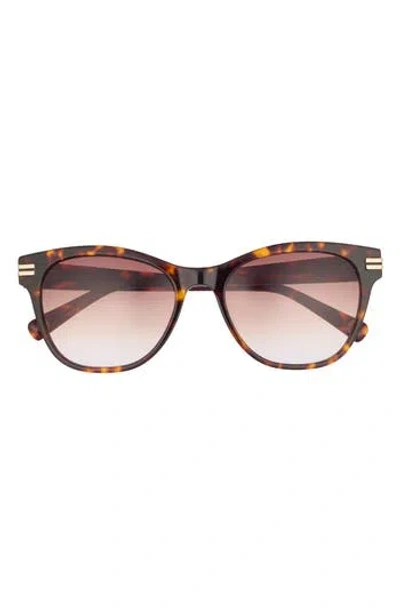 Ted Baker 55mm Gradient Cat Eye Sunglasses In Multi
