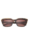 Ted Baker 55mm Gradient Cat Eye Sunglasses In Brown