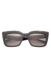 TED BAKER 55MM POLARIZED CAT EYE SUNGLASSES