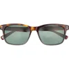 Ted Baker 55mm Polarized Square Sunglasses In Green
