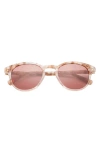 Ted Baker 55mm Round Sunglasses In Blush