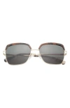 Ted Baker 55mm Square Sunglasses In Tortoise