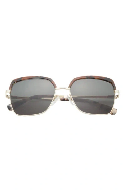 Ted Baker 55mm Square Sunglasses In Brown
