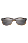 Ted Baker 56mm Polarized Square Sunglasses In Black