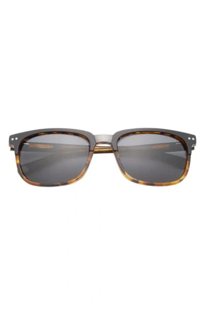 Ted Baker 56mm Polarized Square Sunglasses In Black