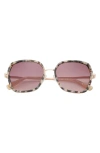Ted Baker 56mm Square Sunglasses In Pink