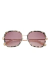 Ted Baker 56mm Square Sunglasses In Ivory Tortoise