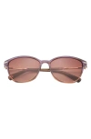 Ted Baker 57mm Cat Eye Sunglasses In Purple