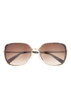 Ted Baker 58mm Gradient Square Sunglasses In Brown