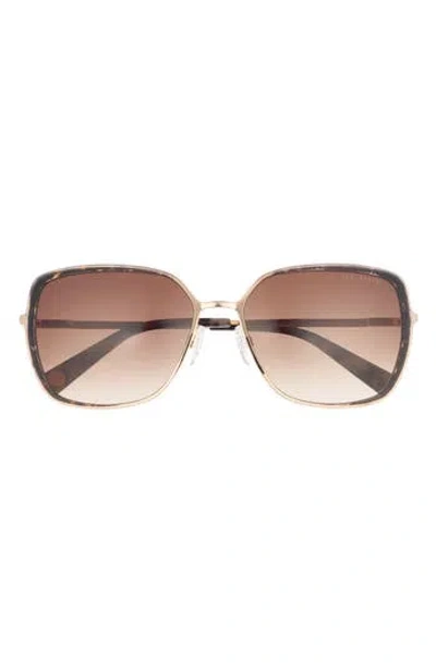 Ted Baker 58mm Gradient Square Sunglasses In Brown