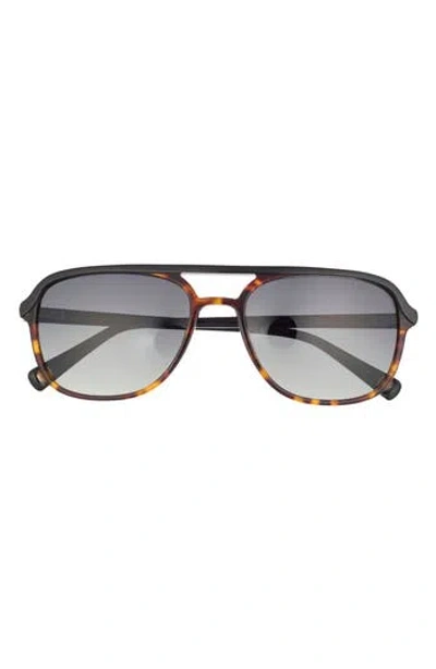 Ted Baker 58mm Polarized Navigator Sunglasses In Brown