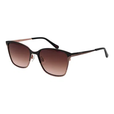 Ted Baker Black Acetate Sunglasses In Brown