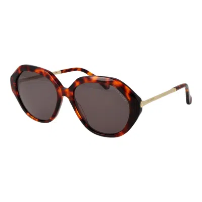 Ted Baker Brown Acetate Sunglasses In Multi