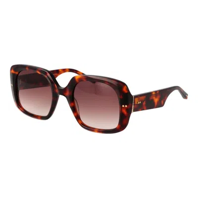 Ted Baker Brown Acetate Sunglasses In Multi