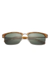 Ted Baker Clubmaster 57mm Full Rim Polarized Sunglasses In Honey Tortoise